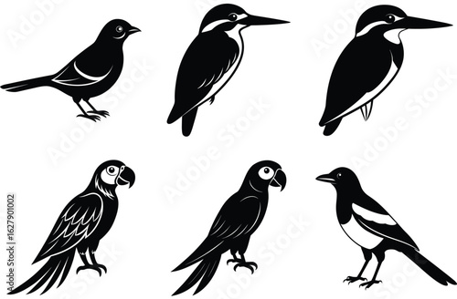 Wallpaper Mural A cute vector cartoon illustration set of various birds like sparrows, owls, and ducks on a branch, flying with wings, or as an icon silhouette Torontodigital.ca