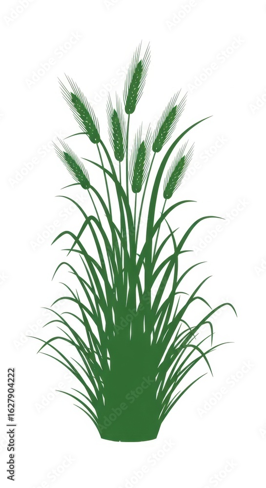 Fototapeta premium Green wheat stalks illustration, organic cereal plant bundle, fresh agricultural grain ears, botanical grass element for farm and harvest design isolated PNG with Transparent Background