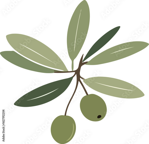 vector illustration of olive branch