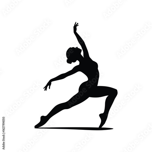 Elegant silhouette of a ballerina in a graceful pose