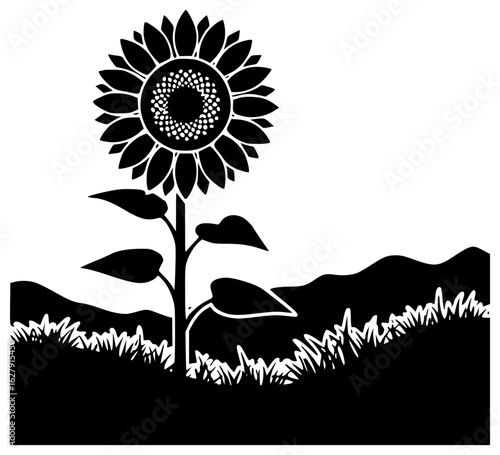 Sunflower standing alone in a field with sunflower swaying free under clear sky naturally