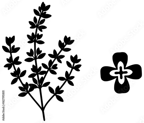 Thyme plant in a small pot with thyme near a flower on a windowsill