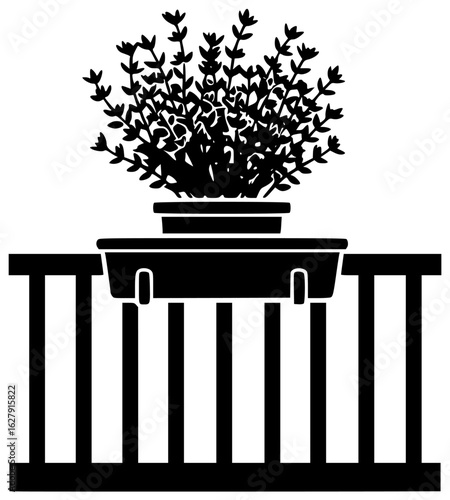 Thyme plant in a small pot with thyme near a flower on a windowsill