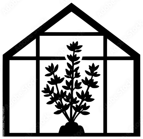 Thyme plant in a small pot with thyme near a flower on a windowsill