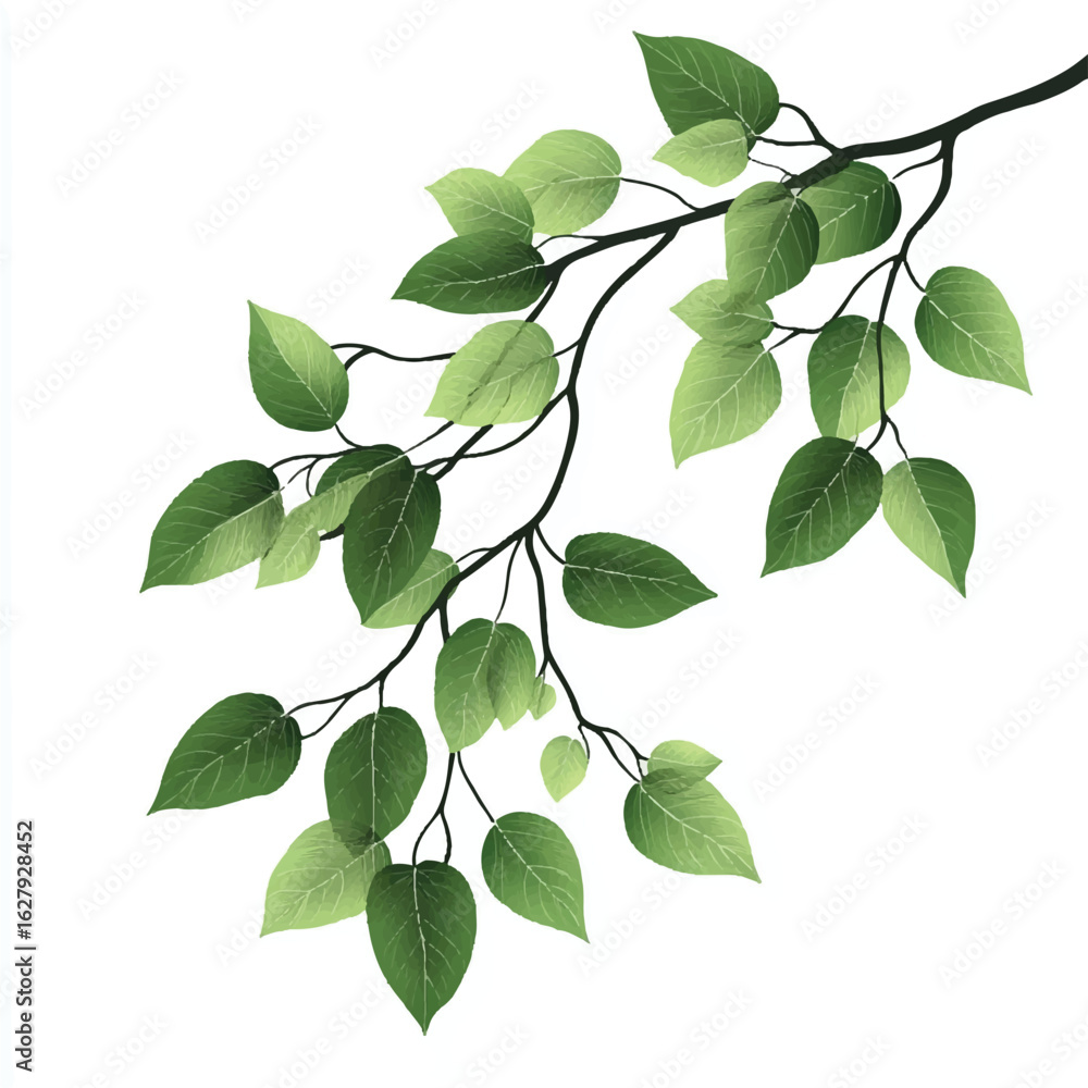 Fototapeta premium a branch with leaves