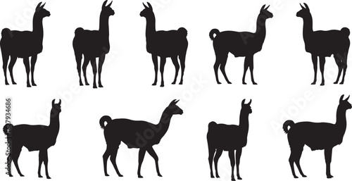 A collection of llama silhouettes in various poses, including standing, walking, sitting, and grazing. Perfect for farm, wildlife, Andes, or animal-themed designs in vector and transparent formats.