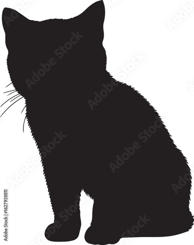 Shorthair cat full image in silhouette image white backgrpound.