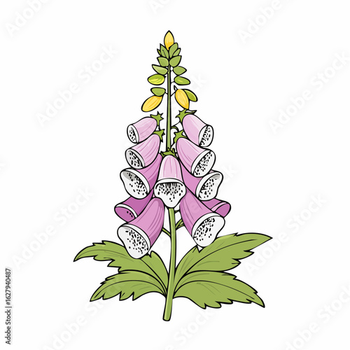 Delicate foxglove illustration featuring vibrant purple bells and lush green leaves