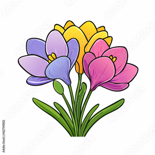 Charming crocus blossoms illustration exhibiting vibrant yellow purple and pink color palette