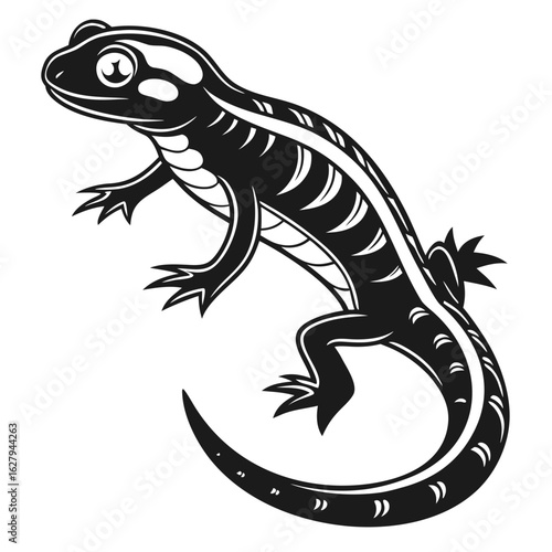 Wallpaper Mural Black and white illustration of a salamander isolated on white background Torontodigital.ca