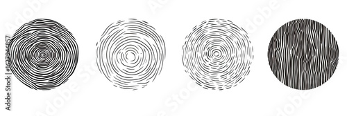 Set of four hand drawn circular textures with black brush stroke lines and spiral patterns creating abstract wood ring and line art elements on white background vector illustration