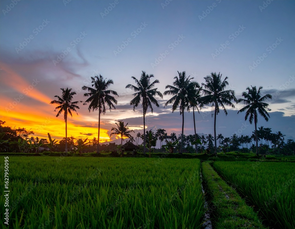 Fototapeta premium Ai genareted,rice field at sunset