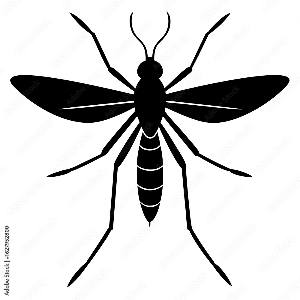 Fototapeta premium Mosquito Silhouette Vector on White Background