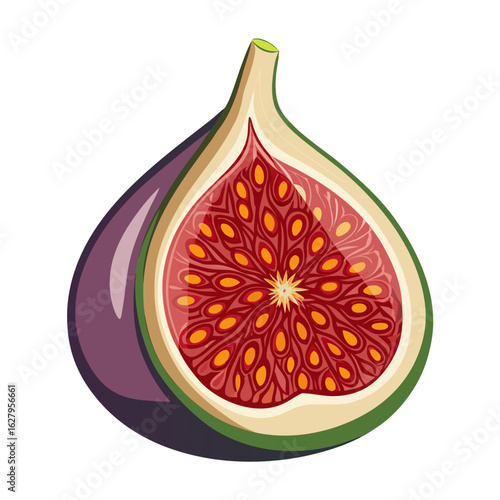 fresh fig fruit