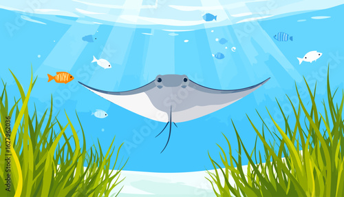A graceful grey and white stingray illustrated in a flat cartoon style, gliding forward with wide fins and friendly eyes.