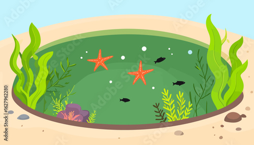 Vibrant coastal tide pool illustration with orange starfish, small fish, and lush green seaweed.