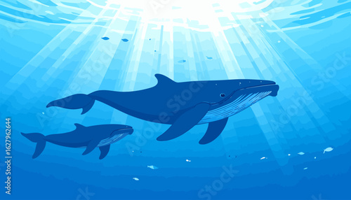 Graceful Blue Whale Mother and Calf Swimming in a Stylized Underwater Scene.