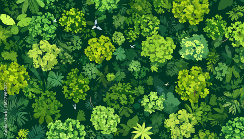 Lush green forest canopy illustration from an aerial top-down view with flying birds.