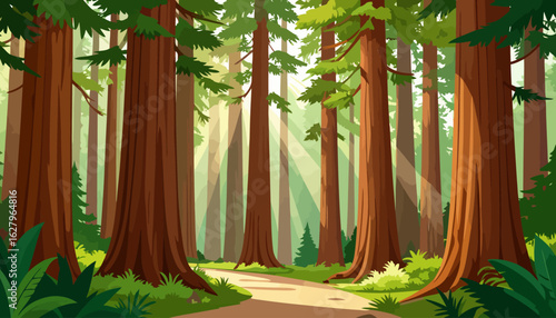Vibrant cartoon illustration of a sunlit redwood forest with a winding path and lush green foliage.