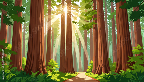 Sunlit Redwood Forest Illustration with Towering Trees and a Winding Path