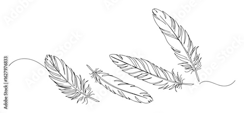 floating feather collection plumes monoline thin vector illustration lineart contour design