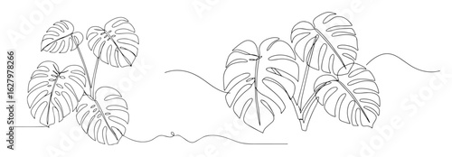 Monstera deliciosa plant one continuous line drawing. Tropical leaves illustration for home decor or botanical art. Minimalist vector set.