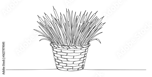 continuous one line drawing of papyrus reeds the plant of ancient egypt in a woven basket vector botanical illustration