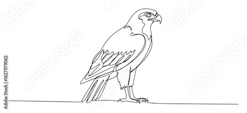 one continuous line drawing of a majestic falcon bird of prey representing the egyptian god horus vector contour lineart