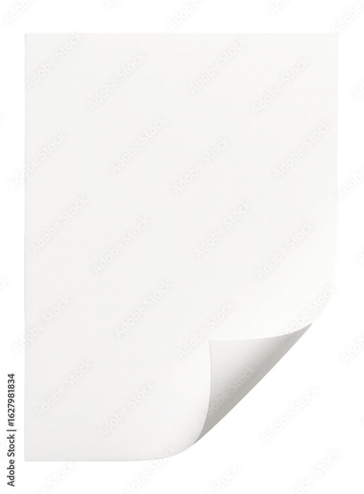 A blank sheet of white paper with a curled corner on transparent background. A blank sheet of white paper with a curled corner on transparent background.