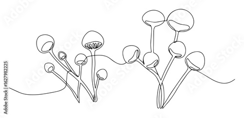 abstract mushrooms fungus one continuous line drawing