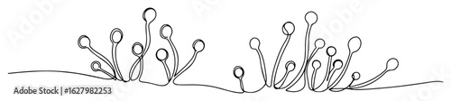 mold fungus spores mucor one continuous line drawing