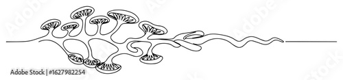 mycelial growth of oyster mushrooms continuous line art vector