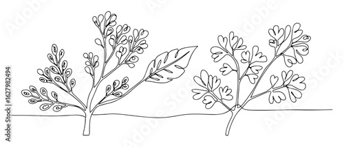 herbs and spices plants one continuous line drawing