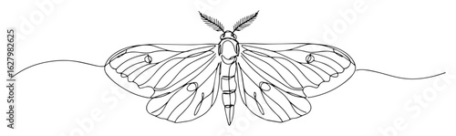 elegant continuous line drawing of a garden tiger moth a beautiful flying night insect vector