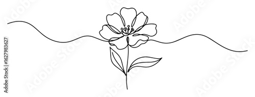 single wild flower one continuous line drawing