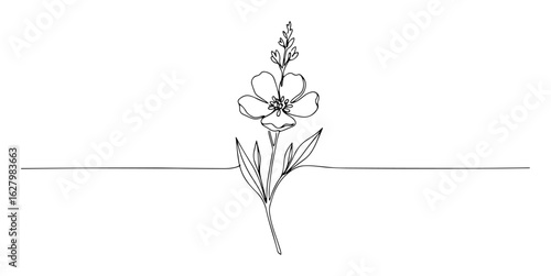 a single delicate flax flower blooming on a stem continuous one line botanical art vector illustration
