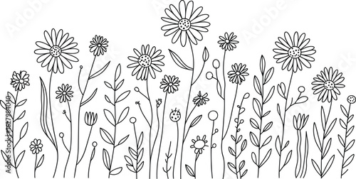 Cute floral doodle illustration, whimsical flower coloring page, hand drawn spring garden art, black and white botanical line drawing
