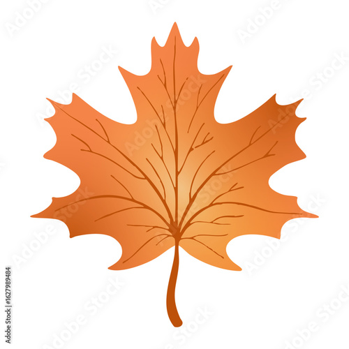 Autumn fall maple leaf