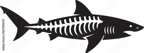 detailed shark anatomy vector with xray skeleton overlay modern ocean life illustration for posters tshirts and web graphics