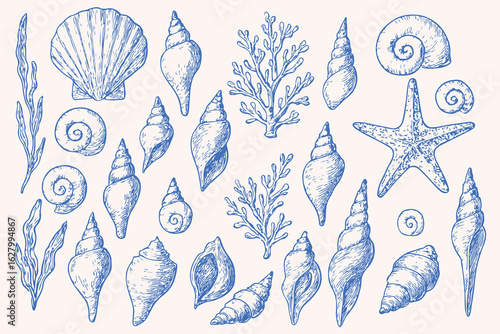 Vintage hand-drawn sea shells, starfish, coral and seaweed collection in blue sketch style for beach, ocean, marine life, summer decoration, coastal design, and nautical themed illustrations

