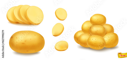  Vector set of fresh potatoes — whole, sliced, and in a pile. Ideal for food packaging, recipes, farming ads, or healthy eating concepts. Isolated on white.(Несколько значений)