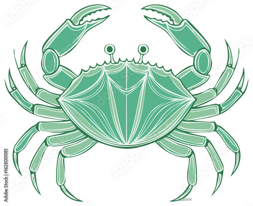 Stylized Green Crab Illustration with Detailed Shell and Claws