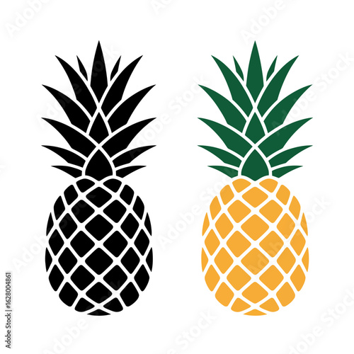 vector illustration of pineapple