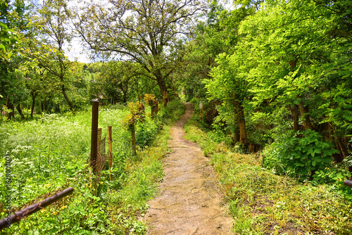  Sendero trasero con acceso a vivienda antigua
Sendero trasero con vegetación densa. Acceso tradicional a casas rurales.