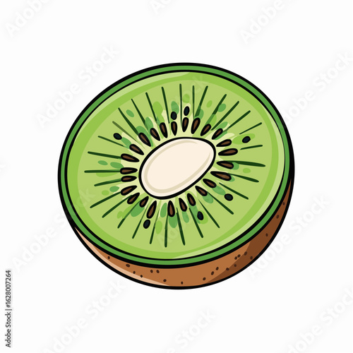 Illustration of a sliced kiwi fruit showcasing its vibrant green flesh and black seeds