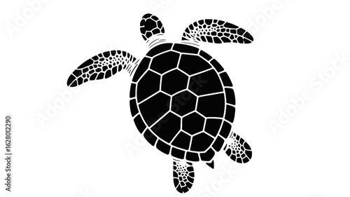Silhouette of a sea turtle swimming Keywords: sea turtle, silhouette, marine life, ocean