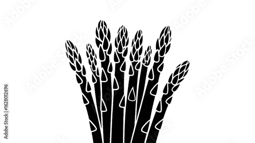 Solid black background with no visible content dark