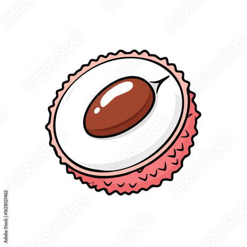 Single lychee fruit cross section illustration with brown seed and translucent flesh