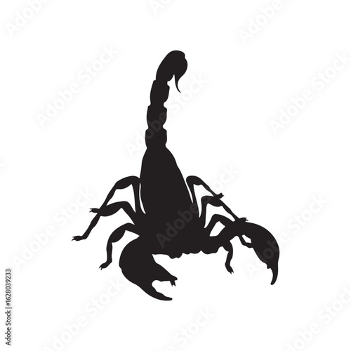 A stark black silhouette of a scorpion with its tail raised in a threatening pose