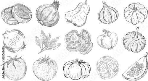 Illustration of various vegetables including squash, tomatoes, garlic, and other produce items shown